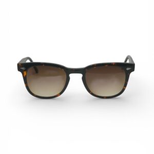 Moscot GELT TORTOISE